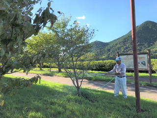 ������Βn�@������